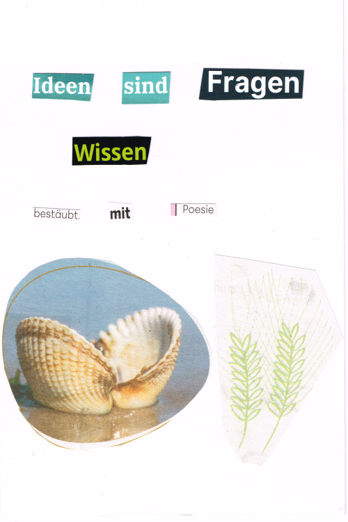 Ideen sind Fragen
